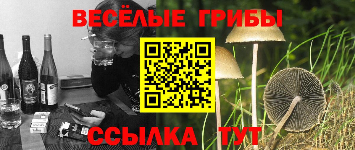 Галлюциногенные грибы MAGIC MUSHROOMS Джанкой